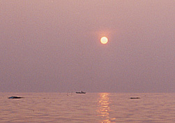 夕日